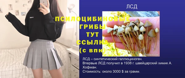 дживик Волосово