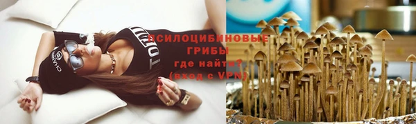 дживик Волосово