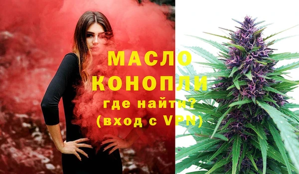 прущая мука Вяземский