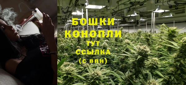 прущие крисы Вязьма