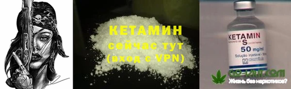 прущая мука Вяземский