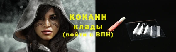 дживик Волосово