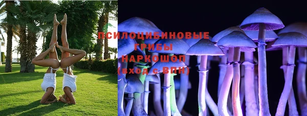 прущие крисы Вязьма