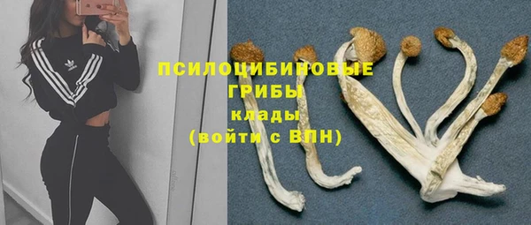 дживик Волосово
