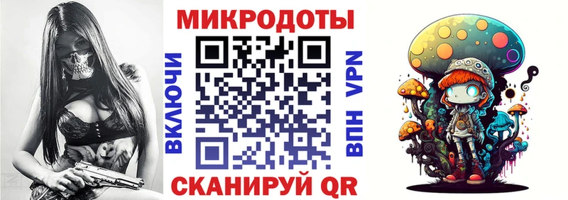 Купить где  Кувшиново  Псилоцибиновые грибы Psilocybine cubensis 